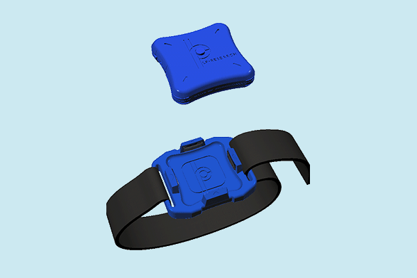 B2-strap_600×400_20171009-1